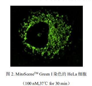 5f21338fe0375.png image.png
