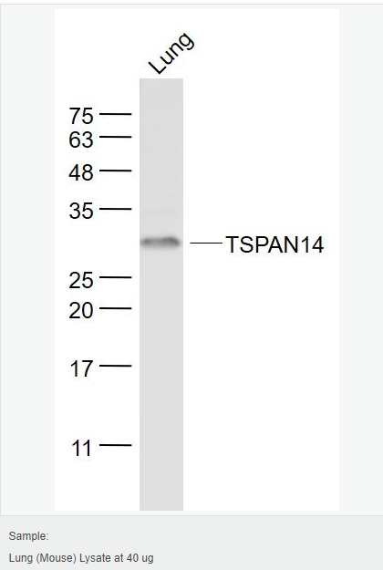 6052abe731421.png image.png