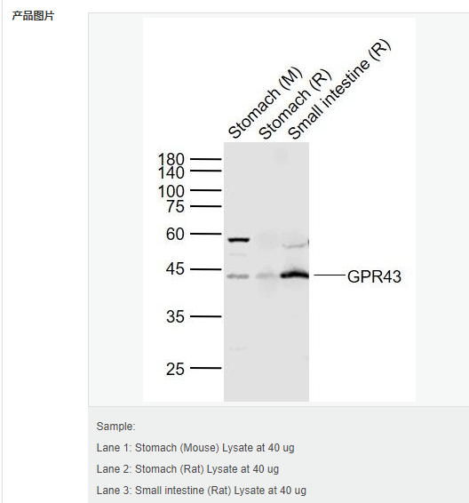 6052b8c406dce.png image.png