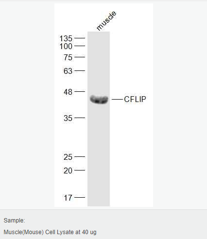 6052bdc7d0ea1.png image.png