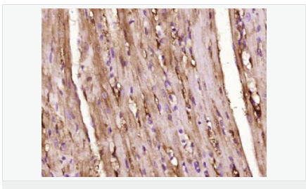 6052bde26fbf9.png image.png