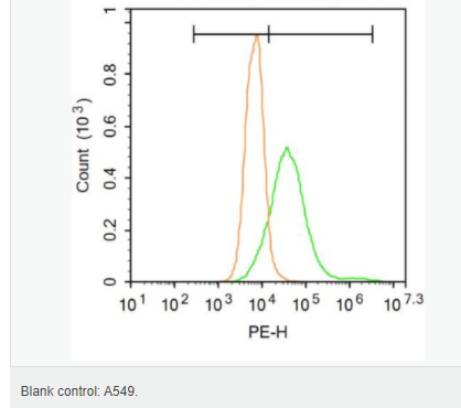 60541046d551a.png image.png