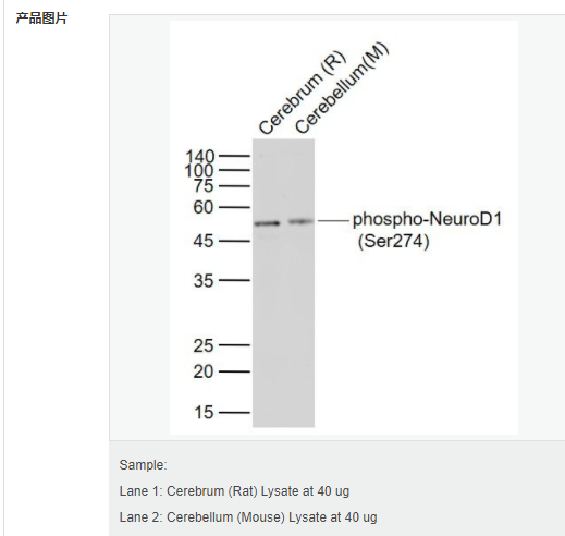 605411a2b5942.png image.png