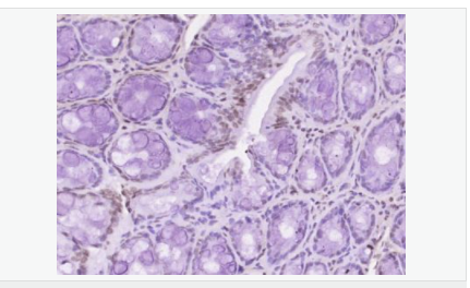 605828ad434d7.png image.png