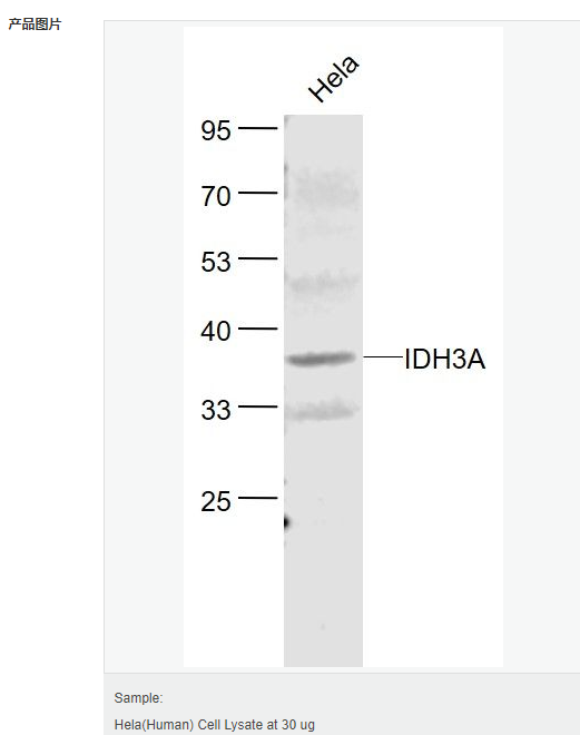 60582baf5b819.png image.png