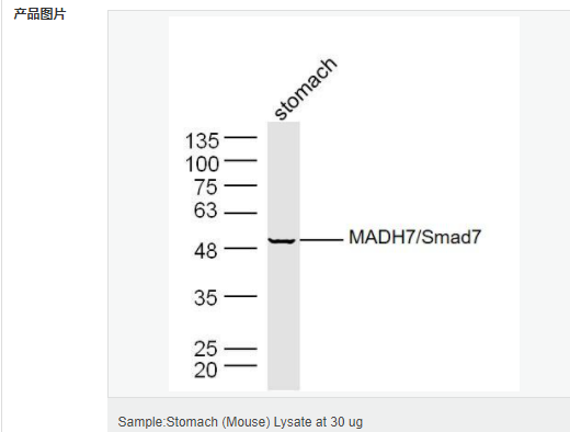 6058418d072c6.png image.png