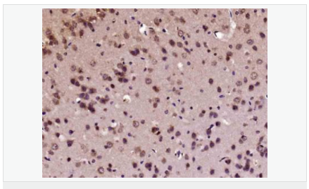 60584c8965e29.png image.png