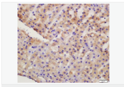 6059536a1c94d.png image.png