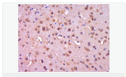 605958cf08e5e.png image.png