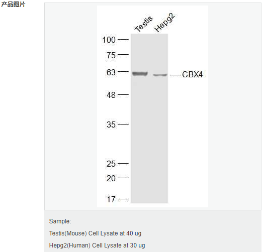 60595bd108e70.png image.png