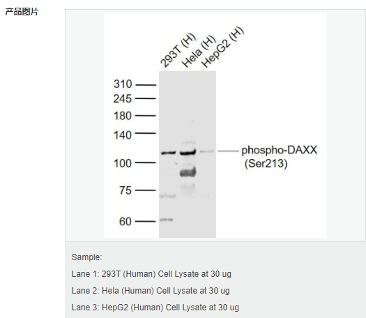 605996e674fb3.png image.png