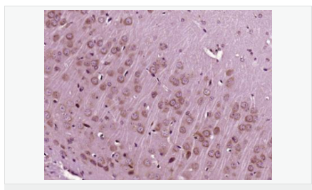 605da0fd3c978.png image.png