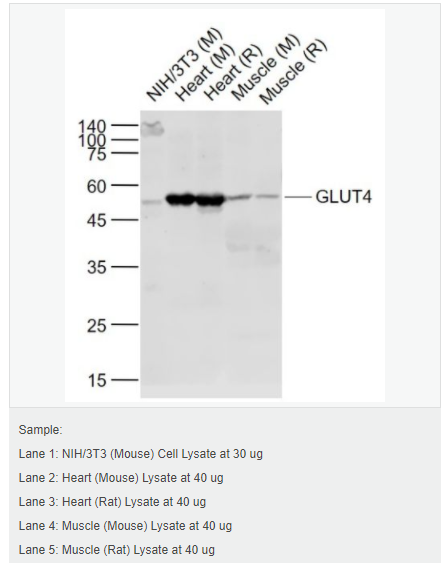 60612cbc2dfdd.png image.png