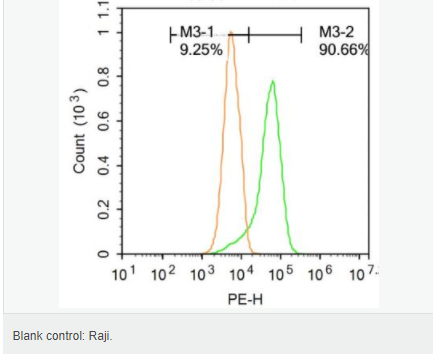 6064172d4a8e5.png image.png