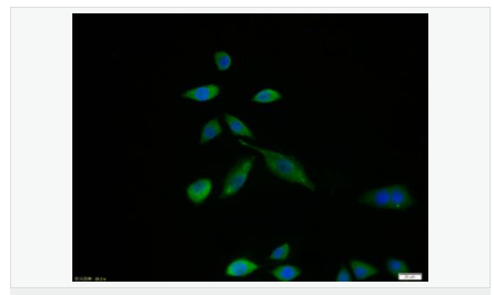 6065667154dd9.png image.png