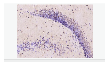 6066796535177.png image.png