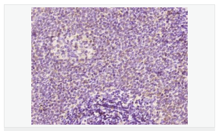 6066ae28b5834.png image.png