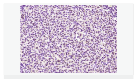 6066ae312bef1.png image.png