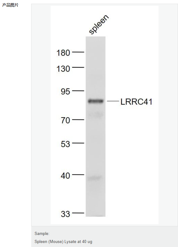 6066bbea94e03.png image.png