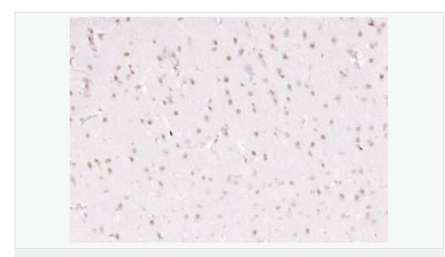 6066bc05be997.png image.png