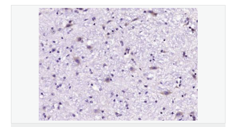 606bca09de8ad.png image.png