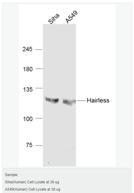 60763faf09570.png image.png