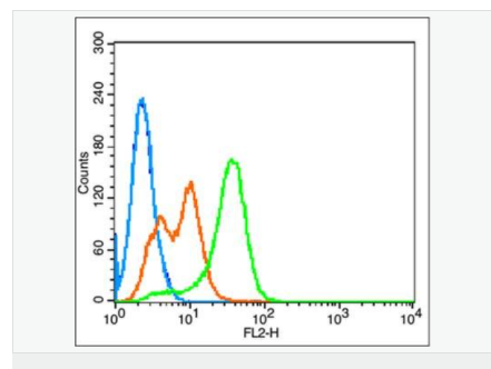 60764148a5a52.png image.png