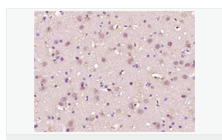 607658c770043.png image.png