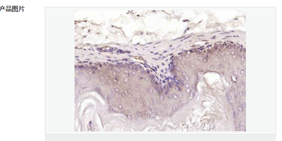 60768a32e9237.png image.png