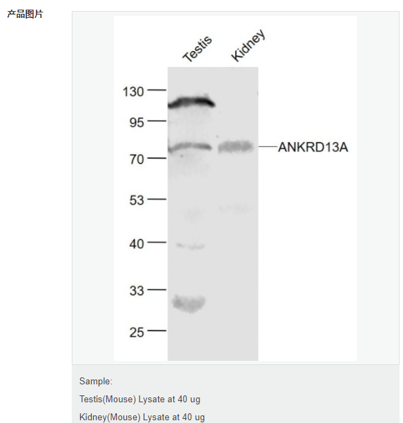 6076a408511fc.png image.png