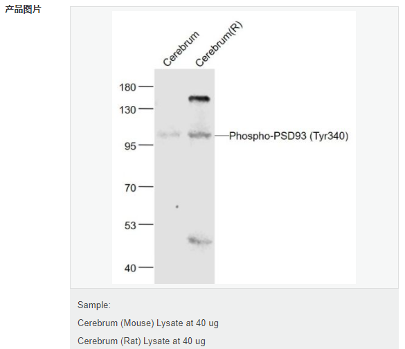 6077ebdca3326.png image.png