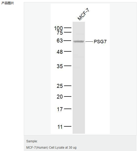 607944ac3367c.png image.png