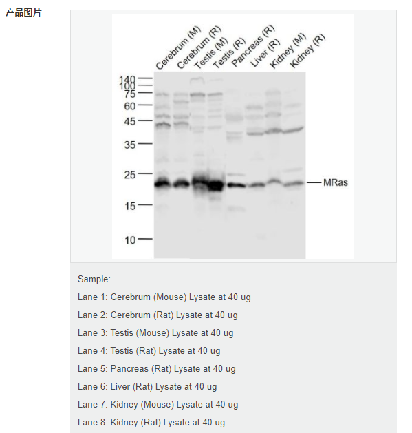 607d168fd15bf.png image.png